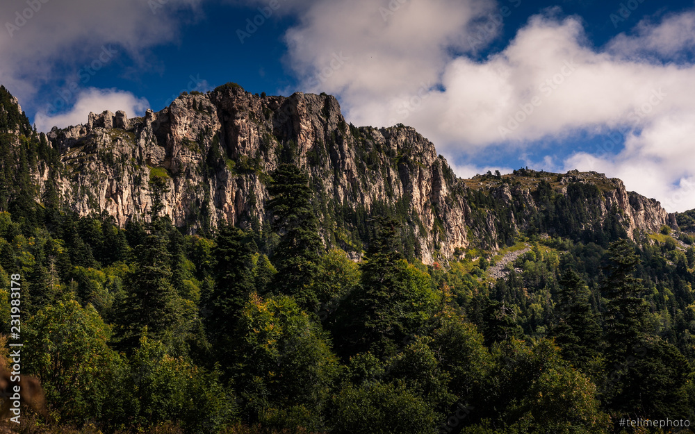 Mountains Plateau Lagonaki of Adygea. Russian Caucasus.