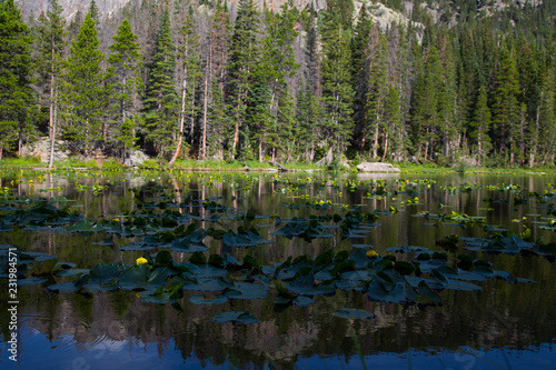 Brainard Park, Colorado