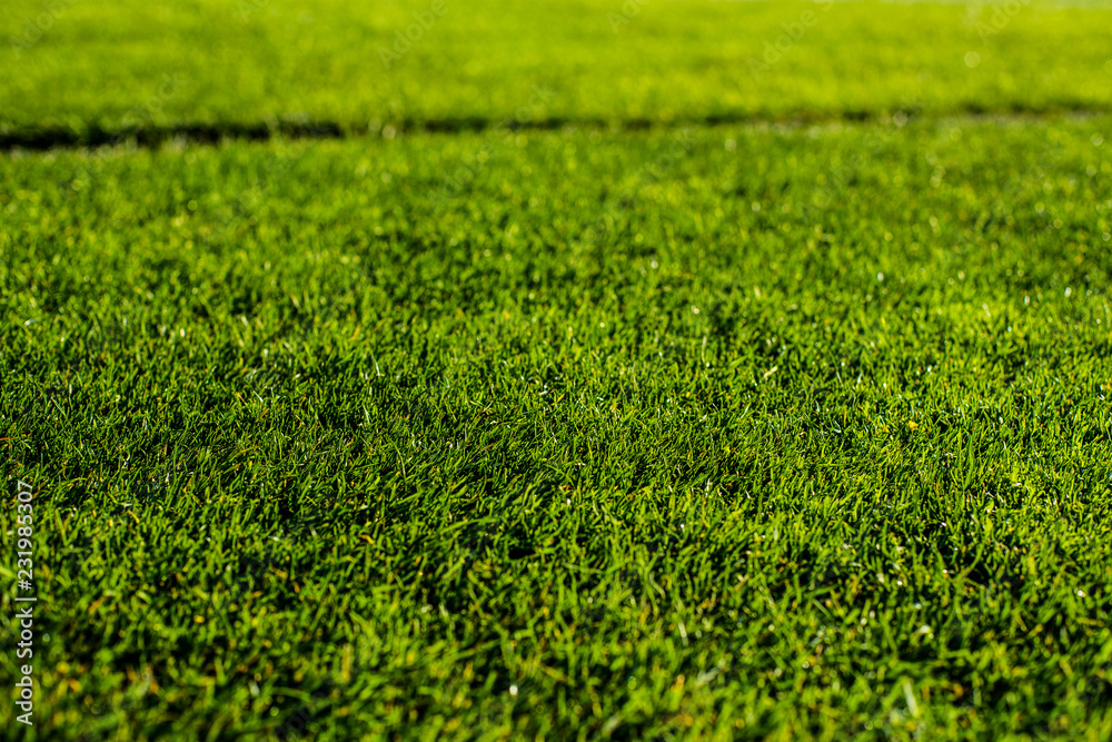 Green bright colorful grass pitch of football stafium, close up with beautiful bokeh and stripes Green bright colorful grass pitch of football stafium, close up with beautiful bokeh and stripes