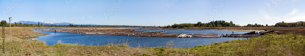 Timber logs float in the water; landscape of mountains and lake with wood logs floating Timber logs float in the water; landscape of mountains and lake with wood logs floating