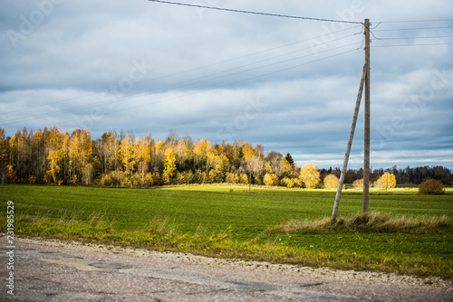 An autumn landscape. A view of the green country agricultural field against stormy blue sky. Evcening light. Latvia photo