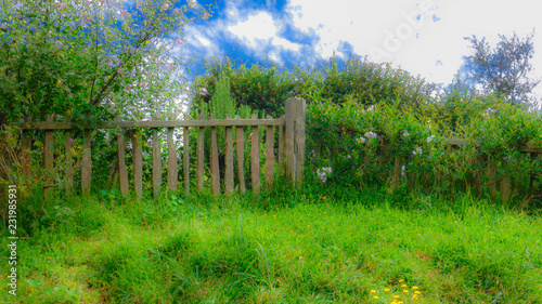 Fence in green field