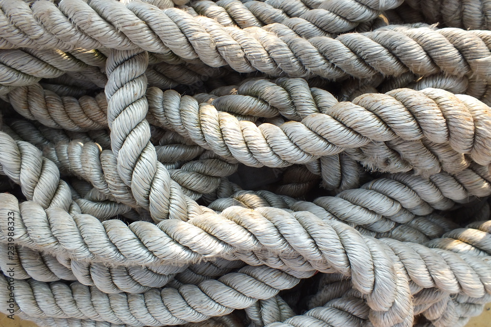 Fototapeta premium Rope / Tau 