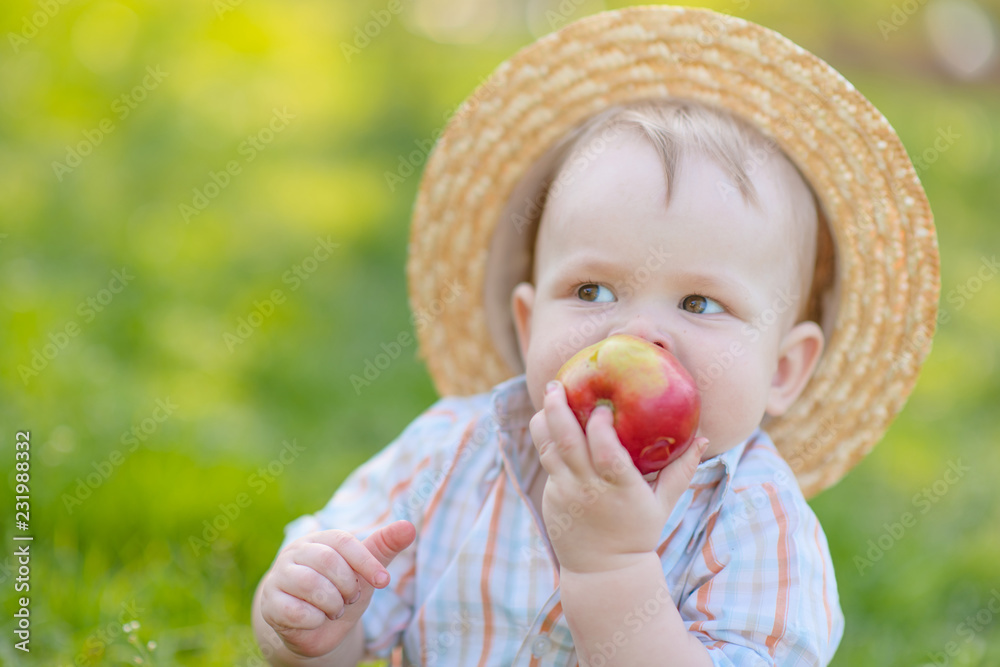portrait of a Little boy playing in summer nature portrait of a Little boy playing in summer nature