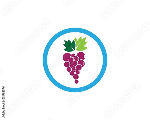 Grape logo template vector icon illustration design