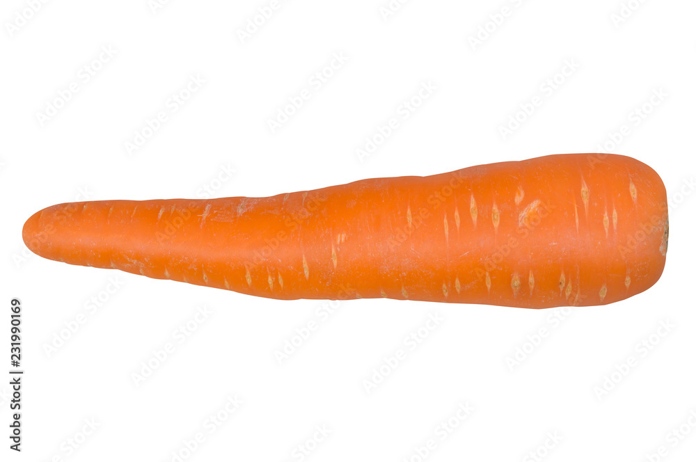 Single fresh beautiful red carrot on white background with clipping path Single fresh beautiful red carrot on white background with clipping path