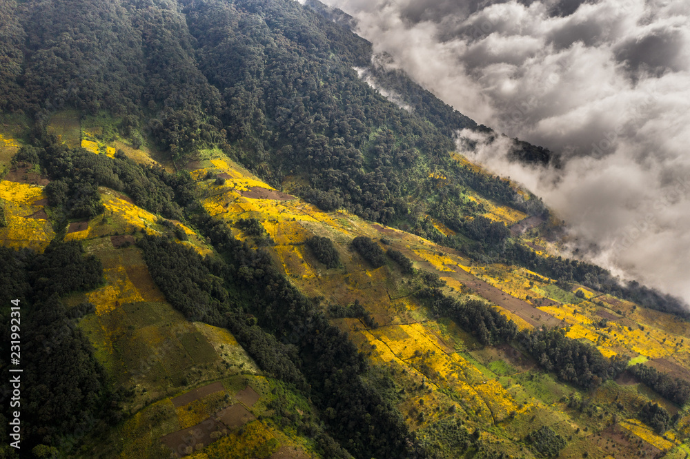 Fototapeta Aerial view of slope of Acatenango volcano in Guatemala