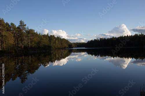 Cloud and forest reflections in a Swedish lake