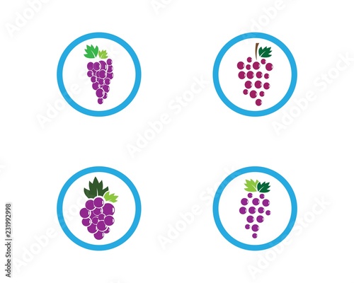 Grape logo template vector icon illustration design