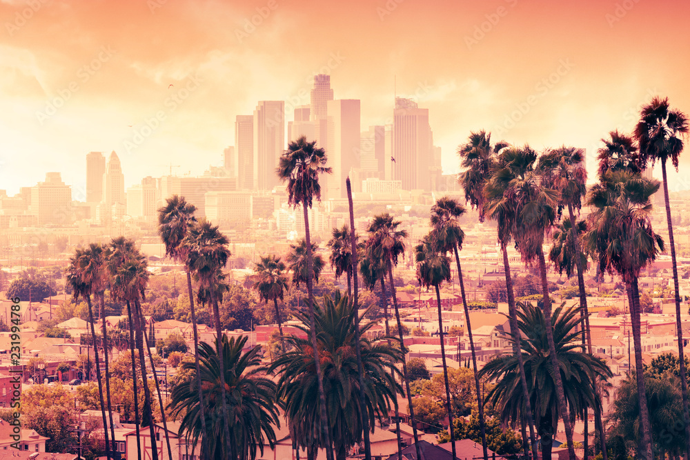 Fototapeta premium Piękny zachód słońca przez palmy, Los Angeles, Kalifornia.