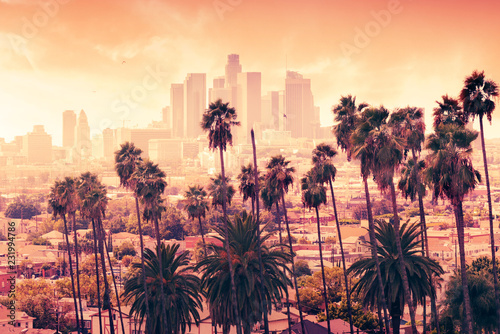 Beautiful sunset through the palm trees, Los Angeles, California.