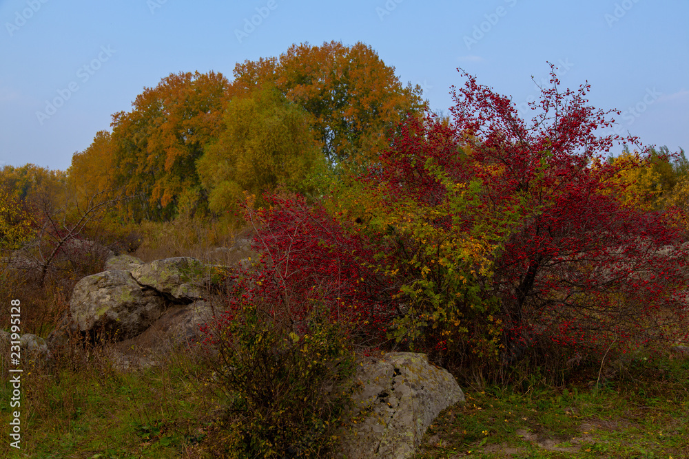 mountain river Southern Bug Ukraine mountain river Southern Bug Ukraine