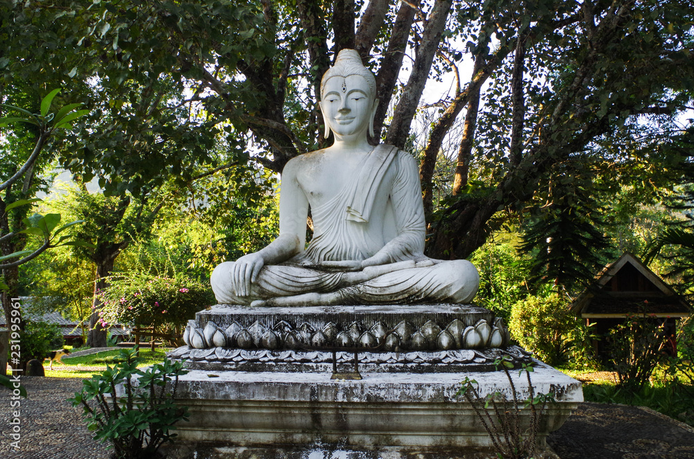 Buddha at Wat Kokpab - Luang Prabang, Laos