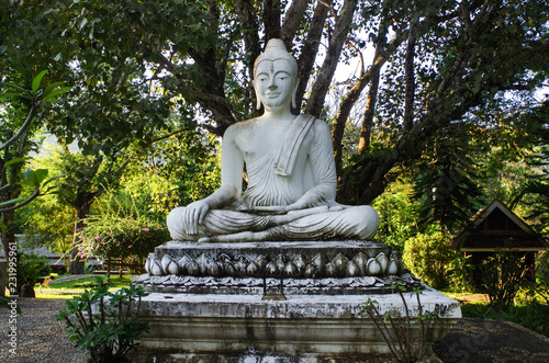 Buddha at Wat Kokpab - Luang Prabang  Laos