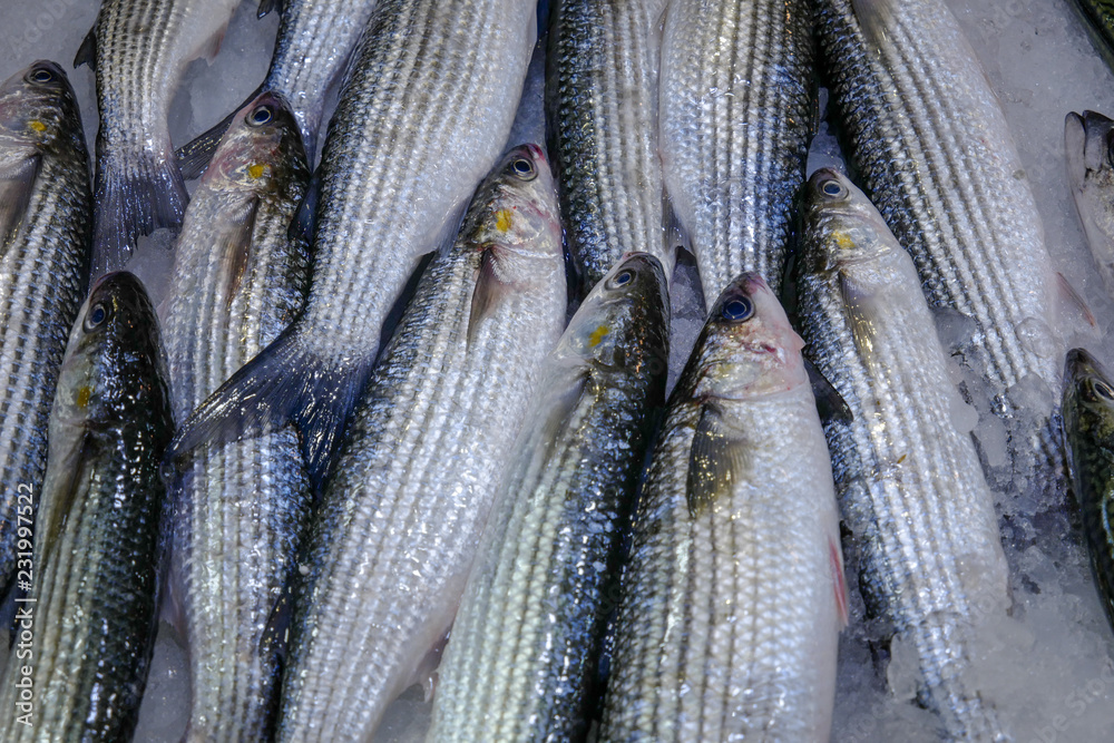 Fototapeta premium fish markets, Athens