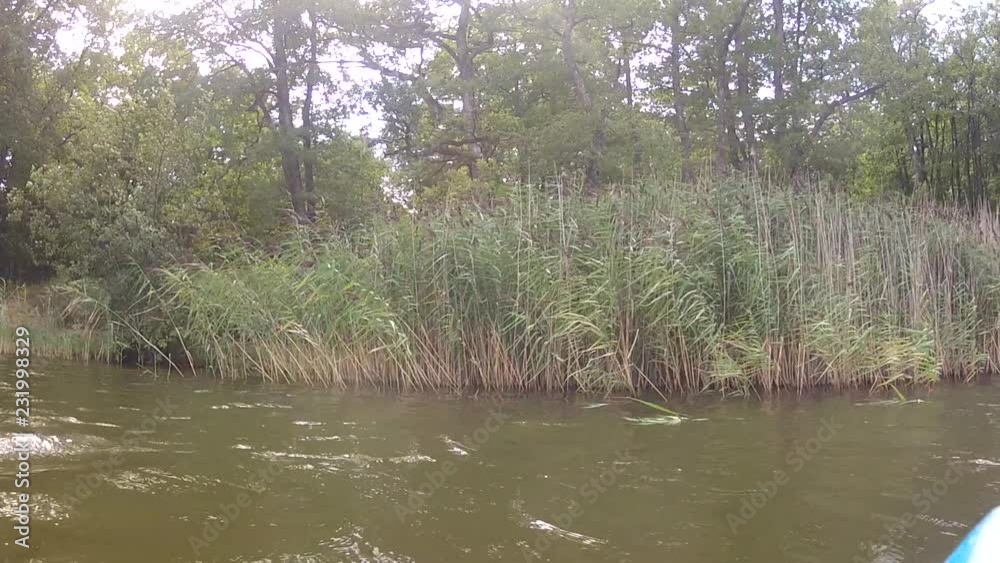 lakeside from canoe