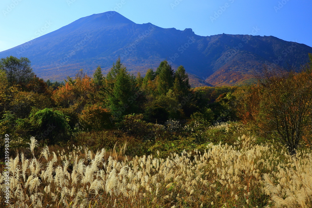 Fototapeta premium 秋の岩手山
