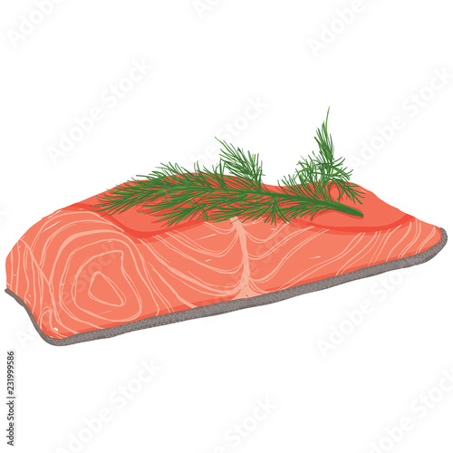 Vector painterly set of raw salmon fish fillet.