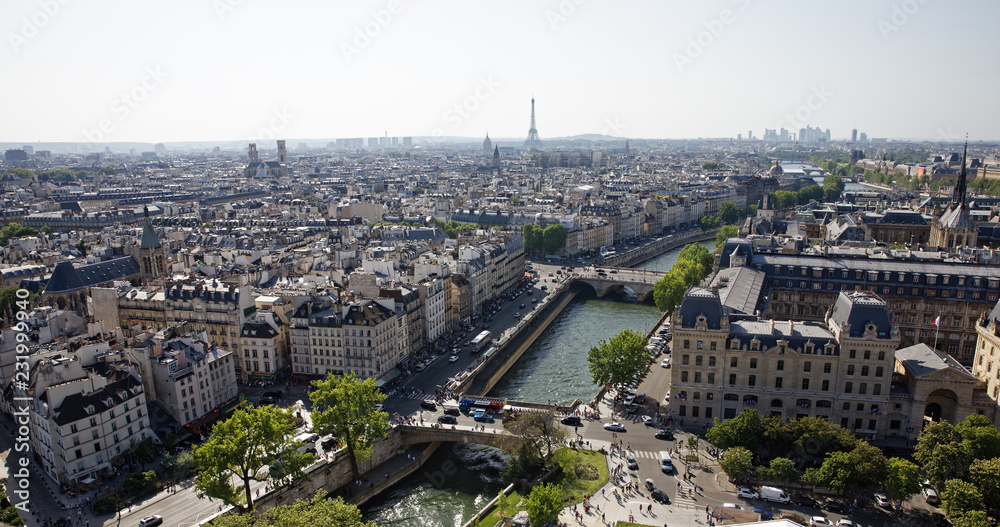 Paris, France - May 6, 2018: Paris seen from the top of Notre Dame