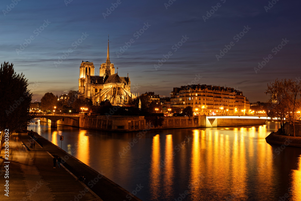 Fototapeta premium Paris - France, November 1, 2017: Notre dame de Paris viewed from River Seine by night