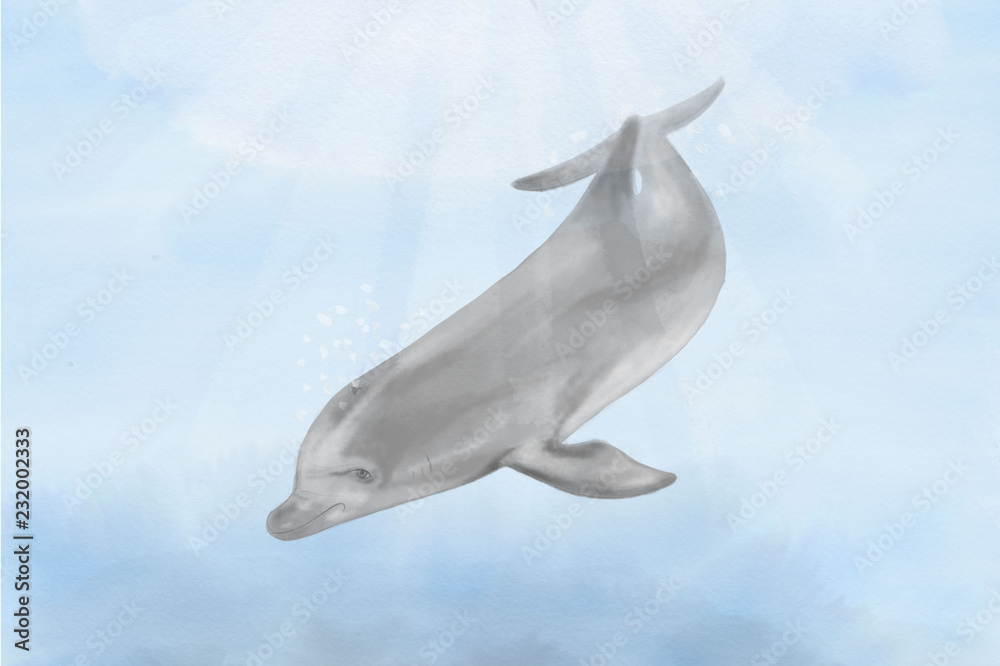 Fototapeta premium Happy Delphine in the ocean