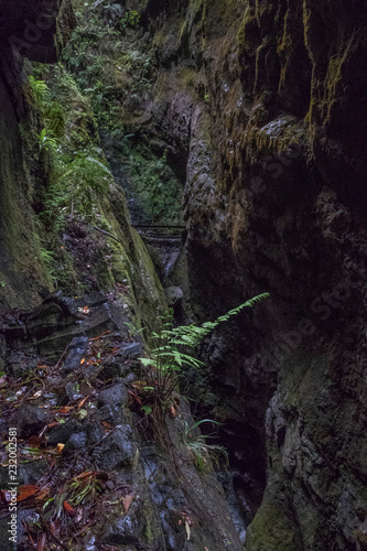 Caldeir  o do Inferno Hiking - Madeira Island