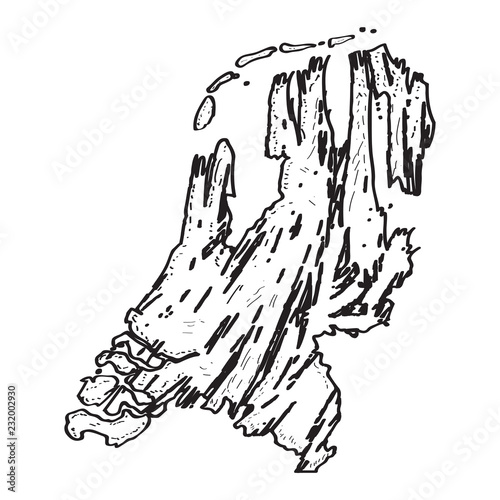 Sketch of a map of the Netherlands. Vector illustration design