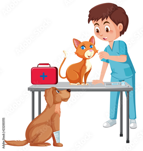 A vet taking care of pet