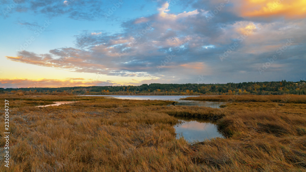 Lynch Cove Wetlands Washington State