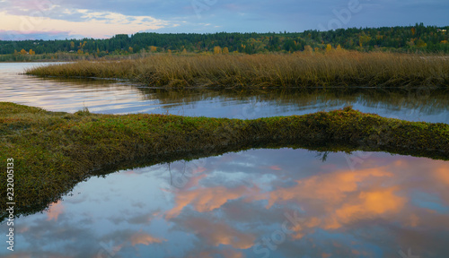 Lynch Cove Wetlands Washington State