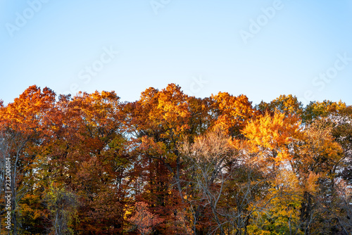 Colorful autumn landscape Beautiful autumn forest blue sky