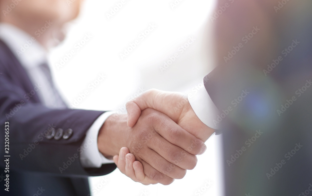 Two businessman shaking hands greeting each other