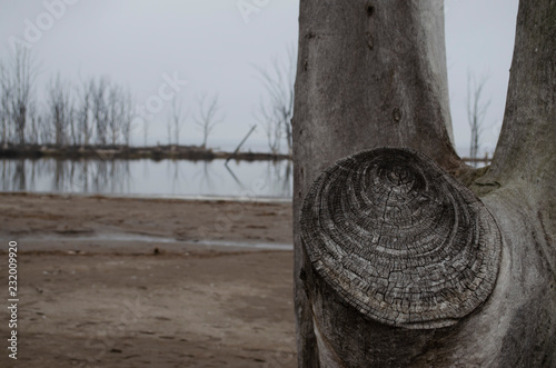 flood in Epecuen, Buenos Aires, Argentina photo