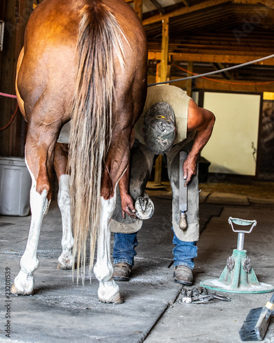 farrier