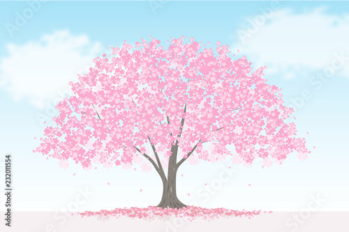 大きな桜の木　景色