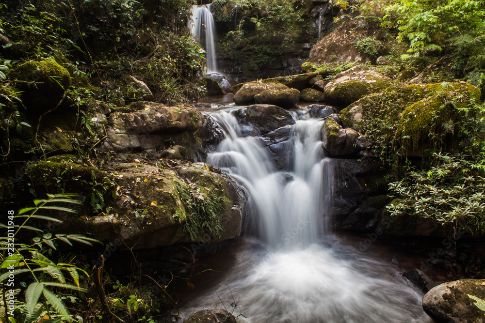 Fototapeta premium Water of the stream in the natural, Beautiful waterfall in forest.