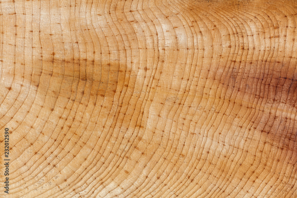 wood ring texture