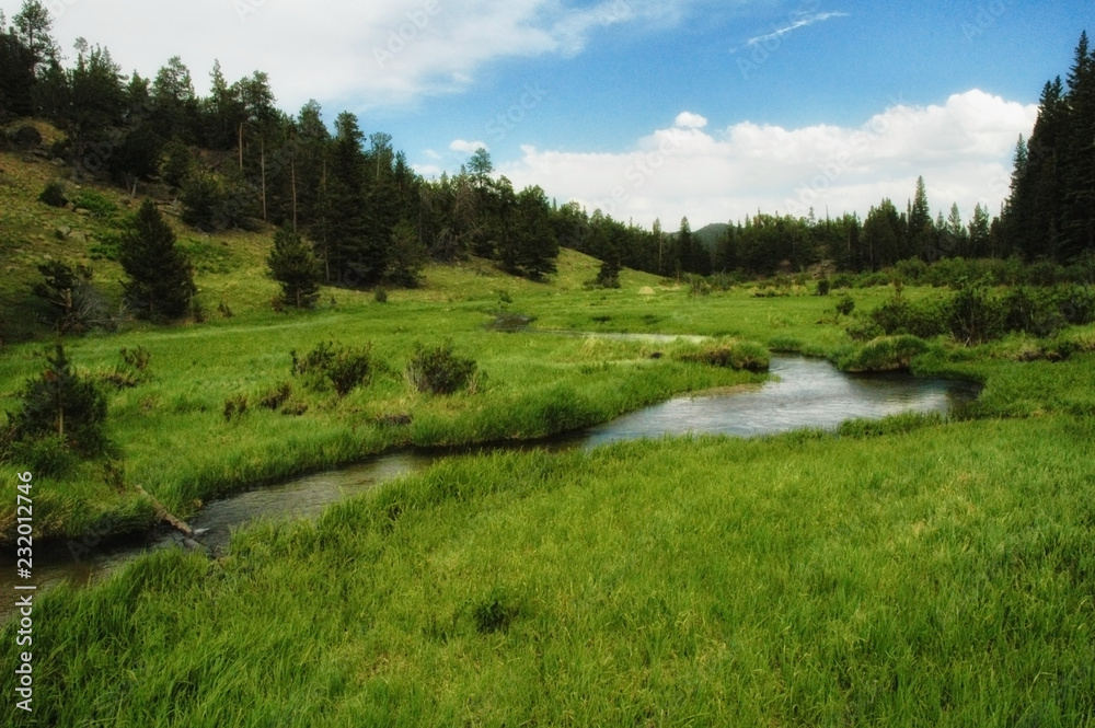 Stream in valley meadow with evergreens