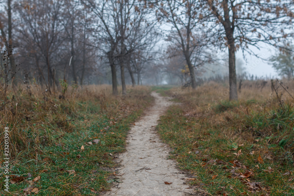 Path leading into thick fog. Autumn mood Path leading into thick fog. Autumn mood