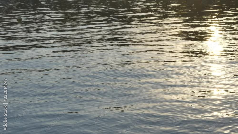 reflection in water reflection in water