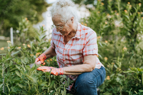 Fotografía Senior woman tending to her garden