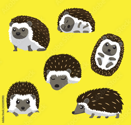 Hedgehog Six Poses Cute Cartoon Vector Illustration