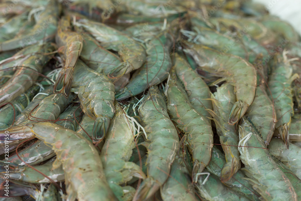 Closeup Group of Fresh Shrimp in market. Seafood concept. Closeup Group of Fresh Shrimp in market. Seafood concept.