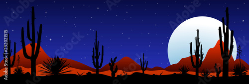 Moonlit night in the mexican desert