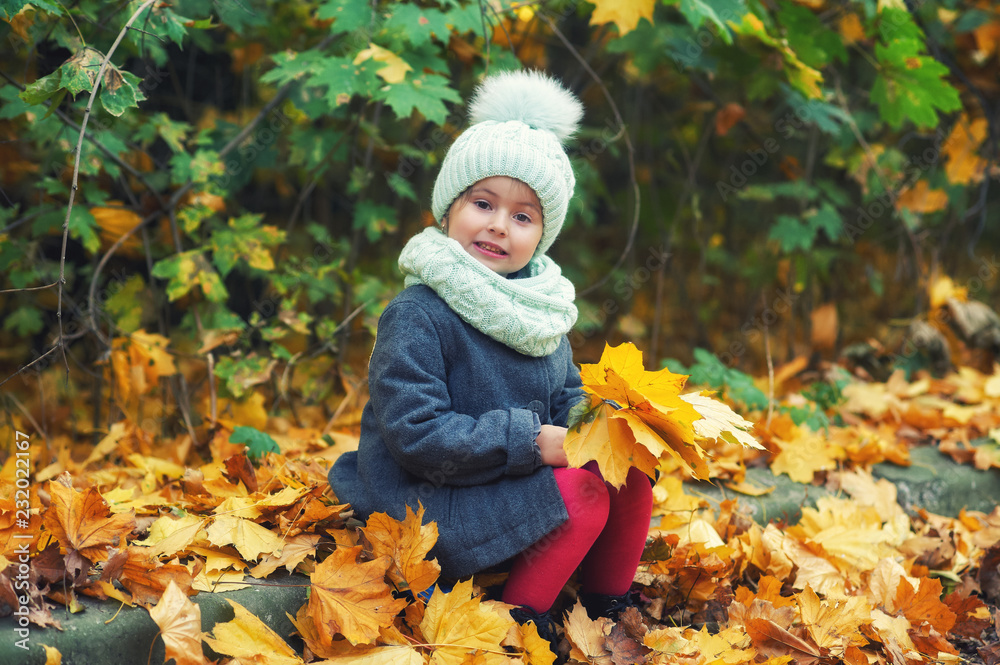 Autumn portrait of a little girl on a walk in the Park . Child in hat, coat and scarf Autumn portrait of a little girl on a walk in the Park . Child in hat, coat and scarf