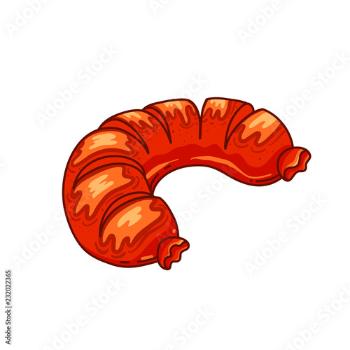 Fried sausage hand drawn vector color illustration