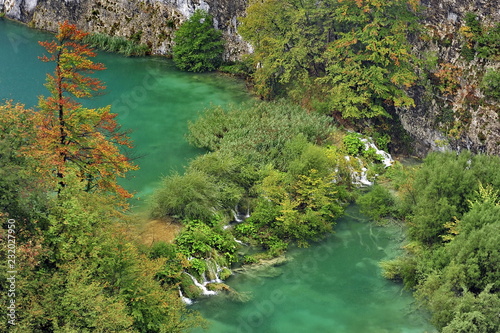Autumn forest in rainy weather. Croatia, Plitvice Lakes. © Oleksandr Umanskyi