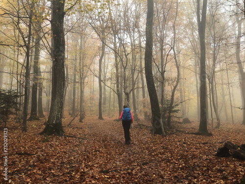 Hiking through the misty forest in autumn