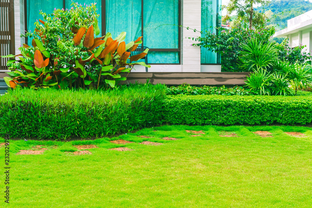 The sheet walk in the front garden of the house is beautifully designed.,  Green lawns with garden design., Pathway in garden., Background design.  Stock Photo | Adobe Stock
