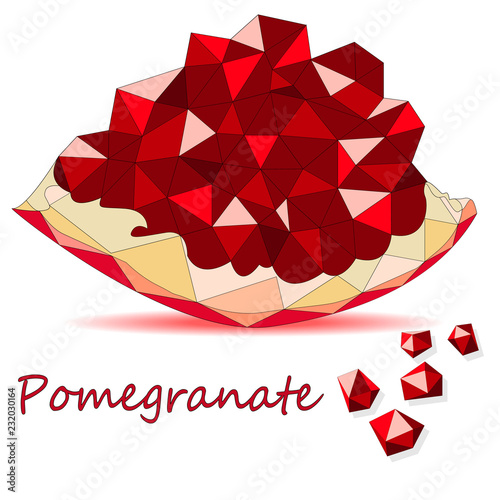 Pomegranate hand drown vector illustration isolated on white background.